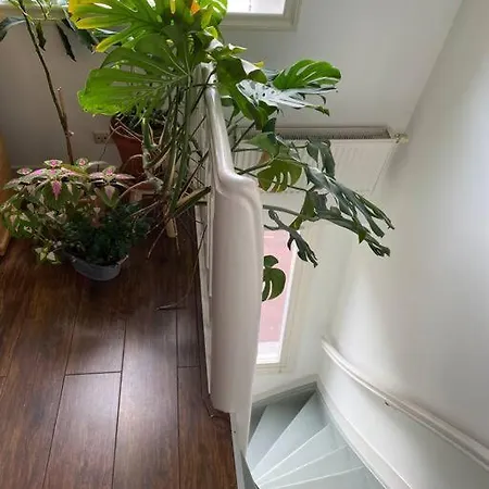 Luxury In Lively Area With Rooftop Terrace Apartment *