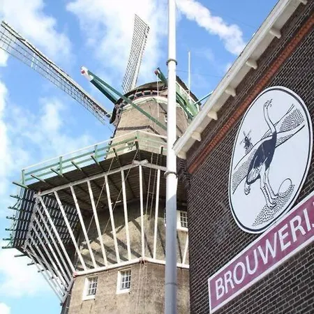 Luxury In Lively Area With Rooftop Terrace Apartment Amsterdam